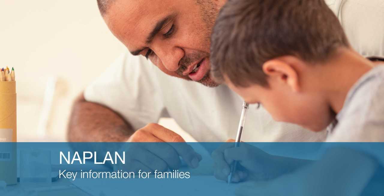 NAPLAN key info parents banner