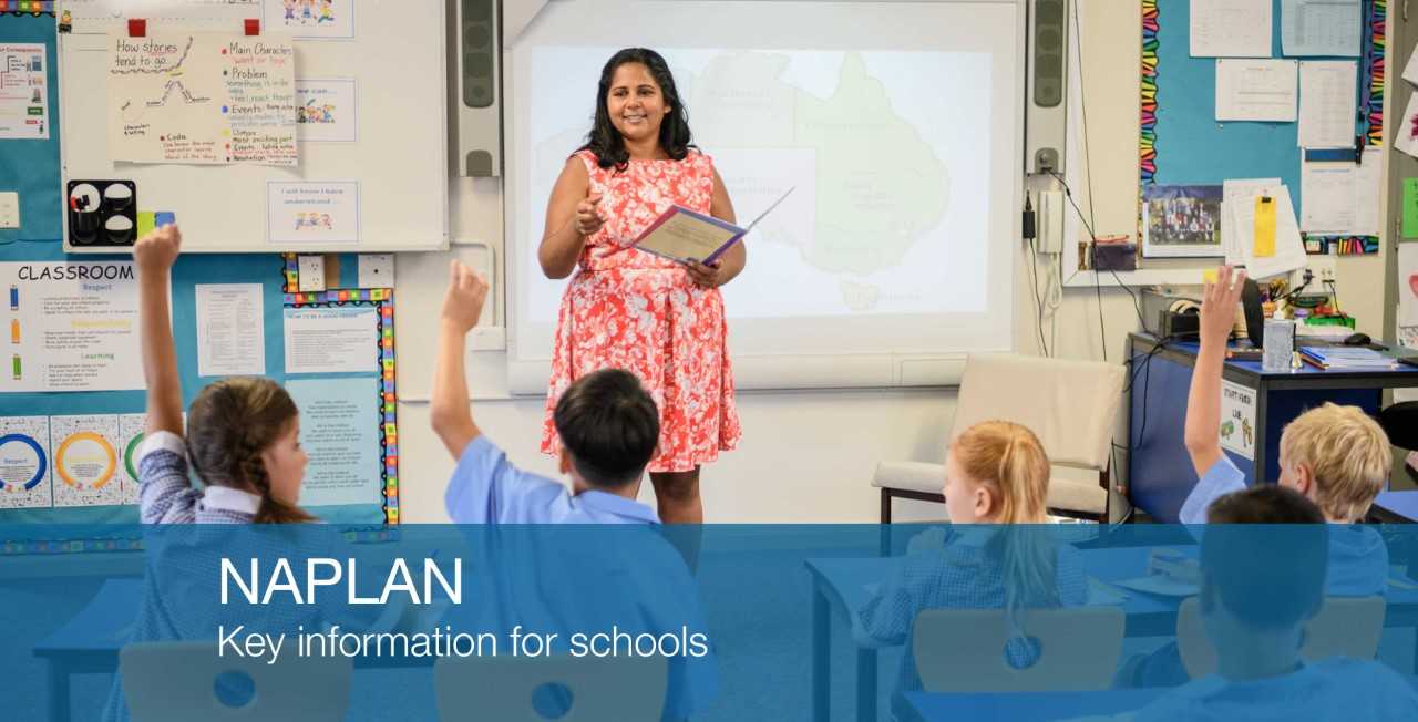 NAPLAN key info schools banner